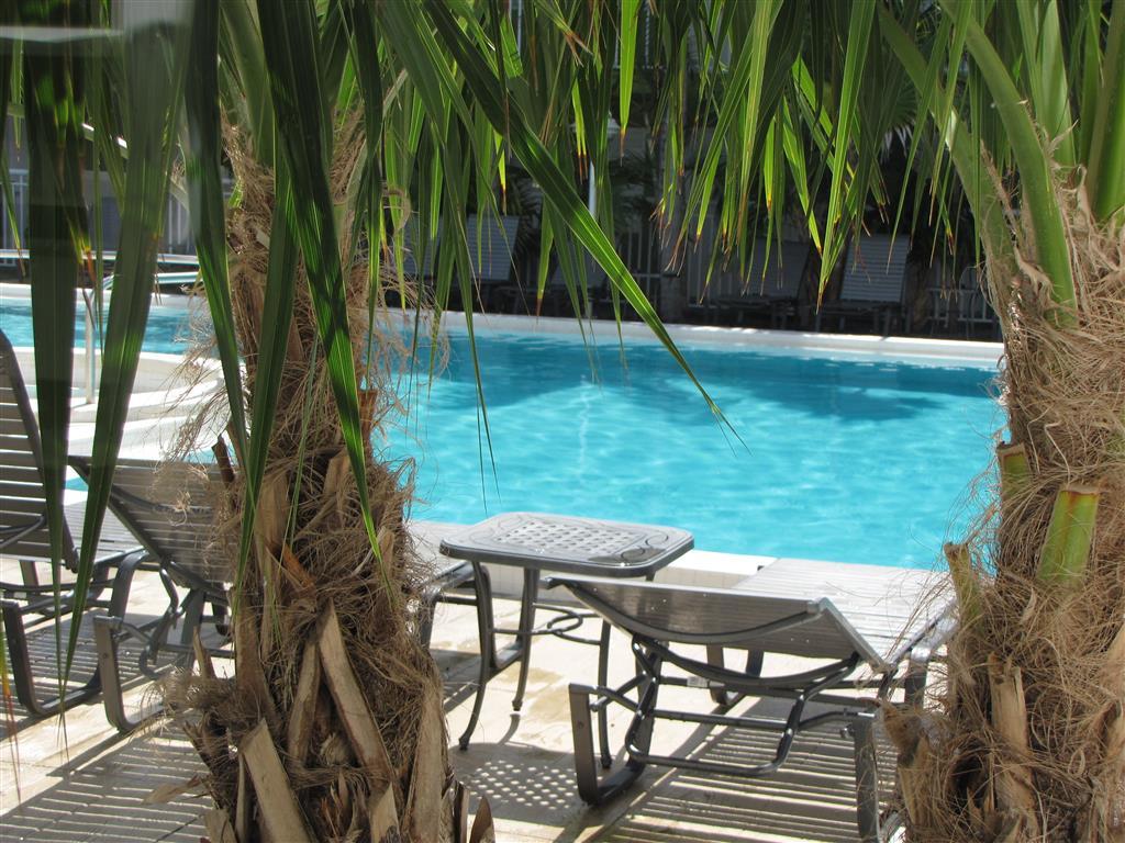 Best Western Hibiscus Motel 基韋斯特 设施 照片